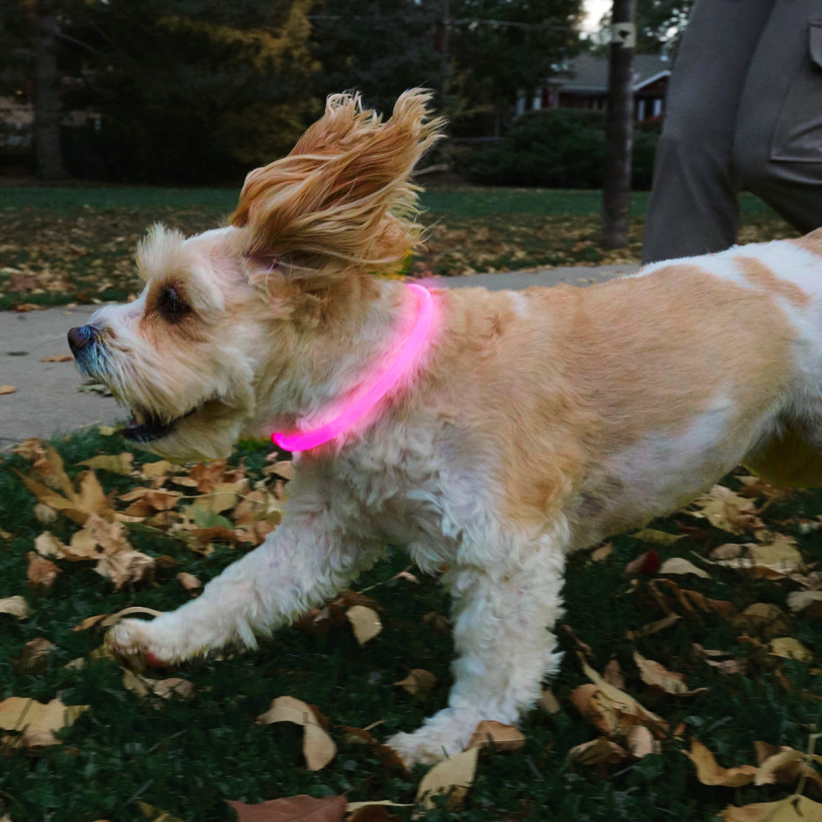 Nite Ize NiteHowl® Rechargeable LED Safety Necklace - Tie Dye Pink