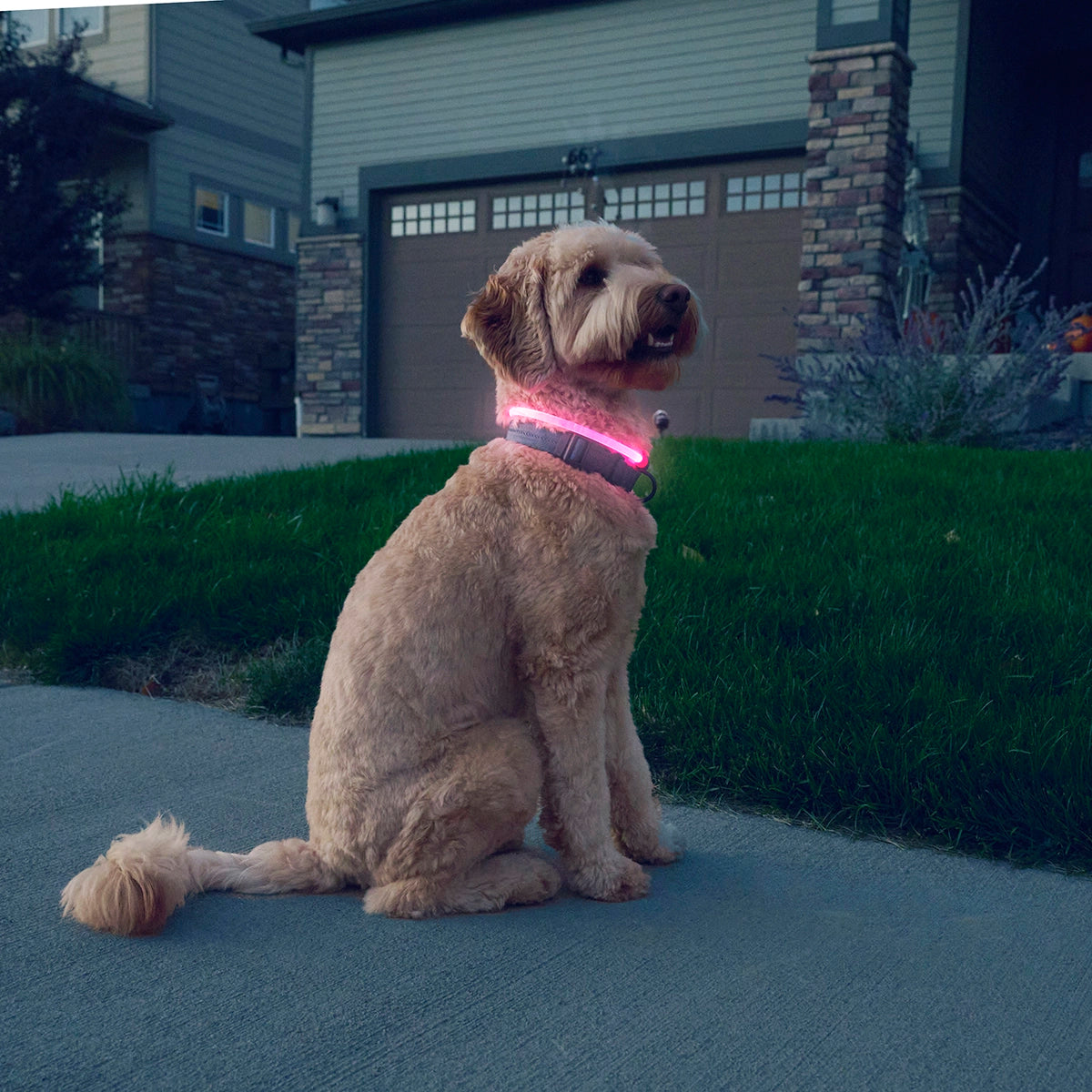 Nite Ize NiteHowl® Rechargeable LED Safety Necklace - Tie Dye Pink