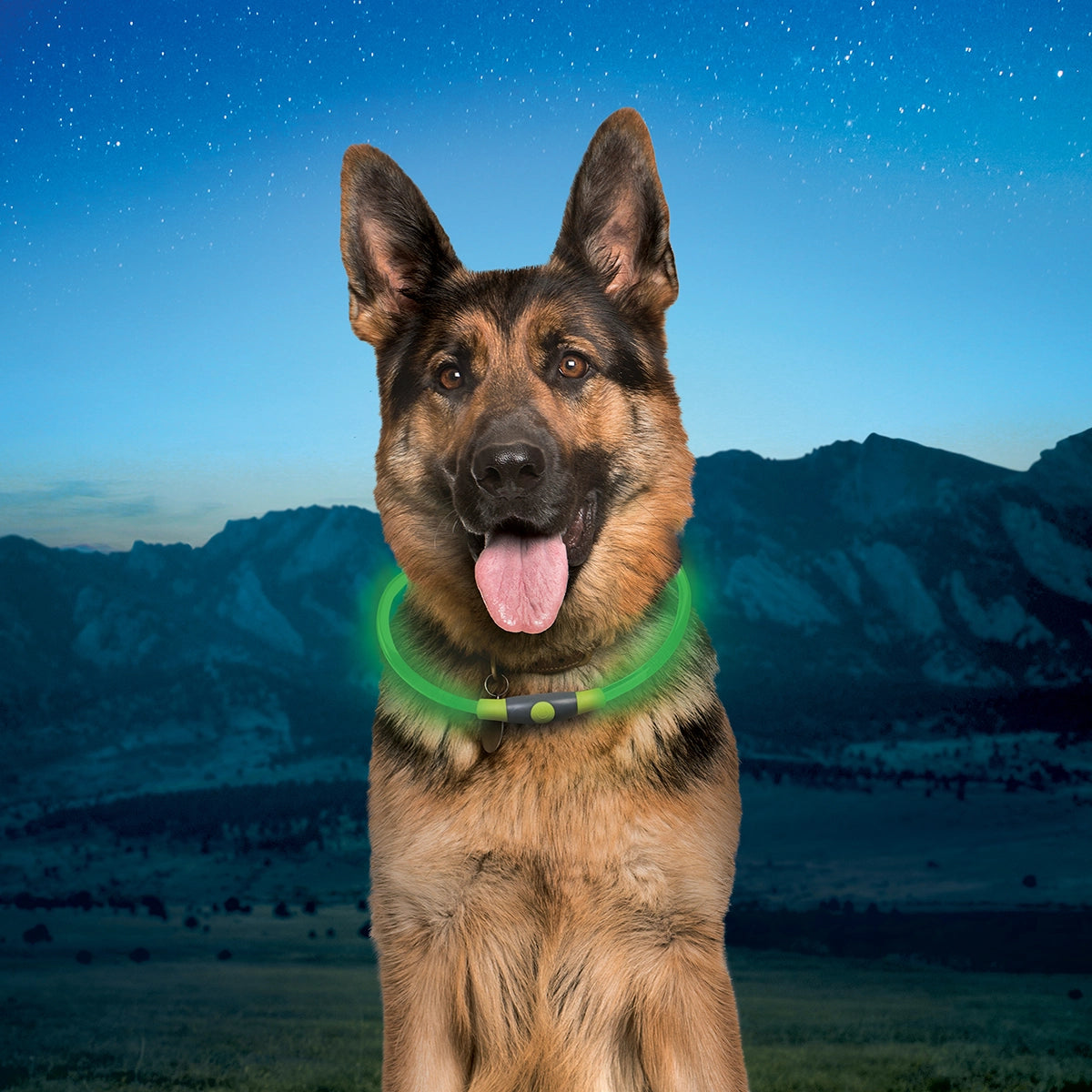 Nite Ize NiteHowl® Rechargeable LED Safety Necklace - Green