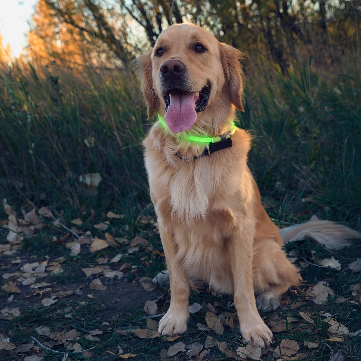 Nite Ize NiteHowl® Rechargeable LED Safety Necklace - Green