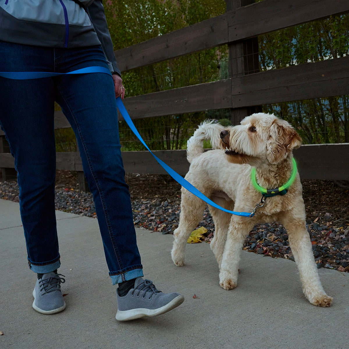 Nite Ize NiteHowl® Rechargeable LED Safety Necklace - Green