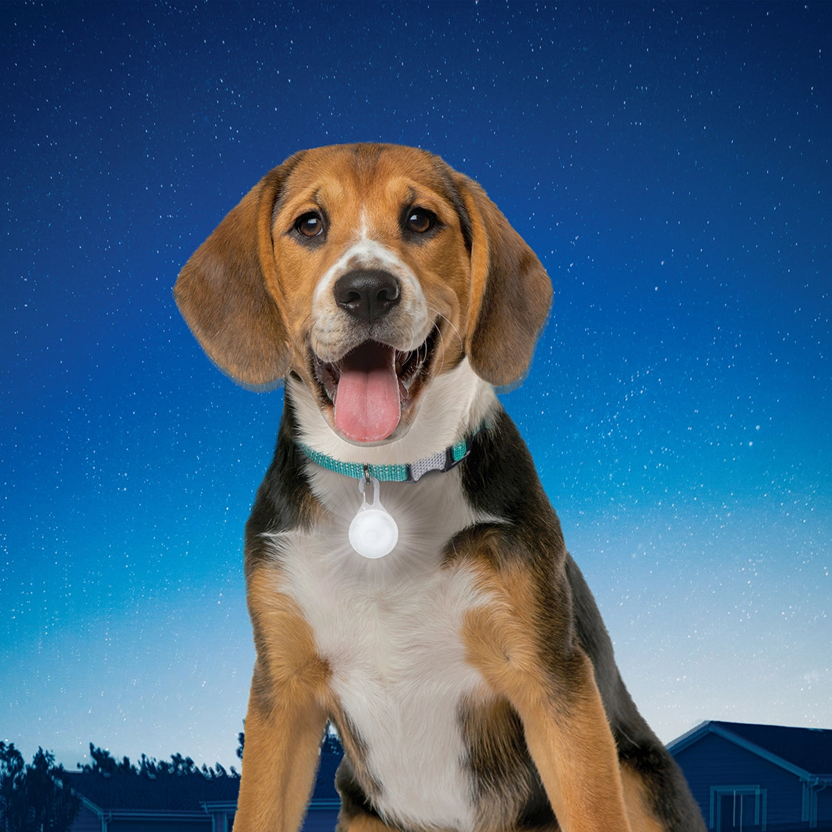 Nite Ize SpotLit® Collar Light - Disc-O Select™