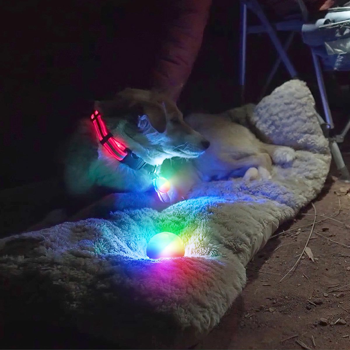 Nite Ize SpotLit® Collar Light - Disc-O Select™