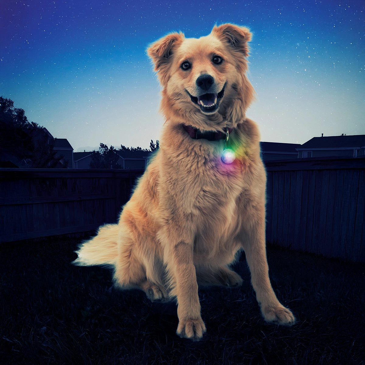 Nite Ize SpotLit® Collar Light - Disc-O Select™