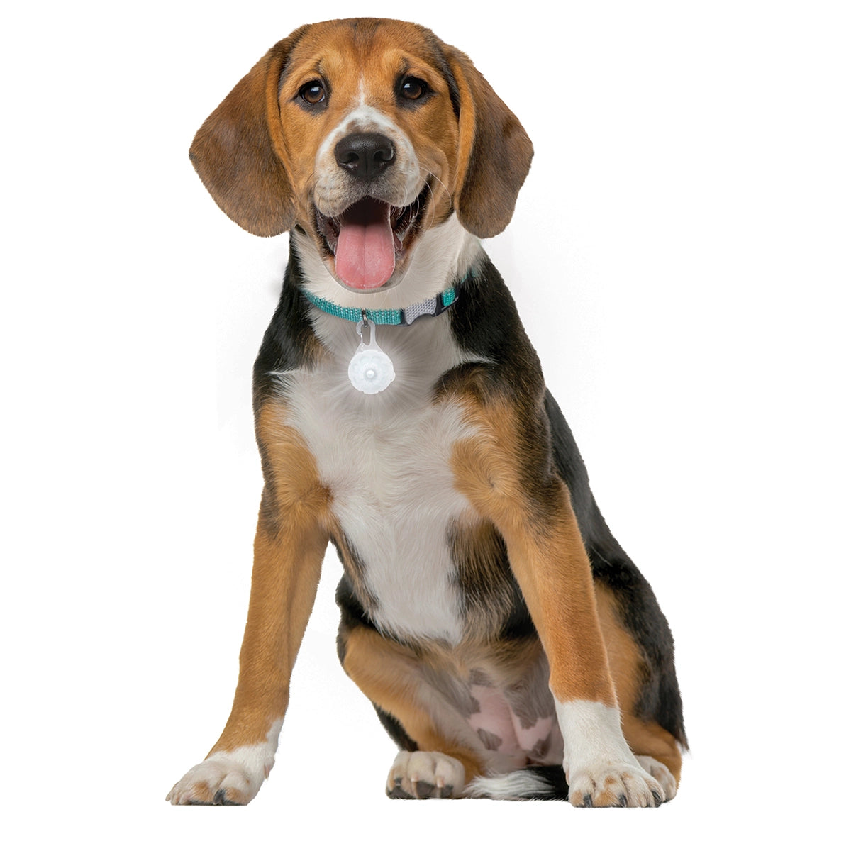 Nite Ize SpotLit® Rechargeable Collar Light - White