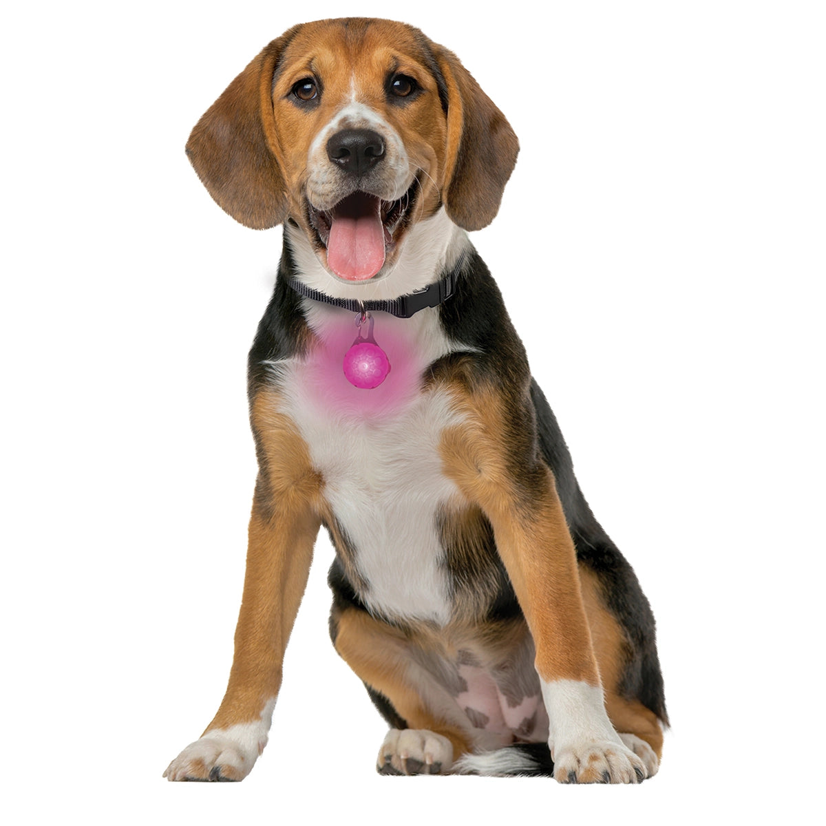 Nite Ize SpotLit® Rechargeable Collar Light - Pink