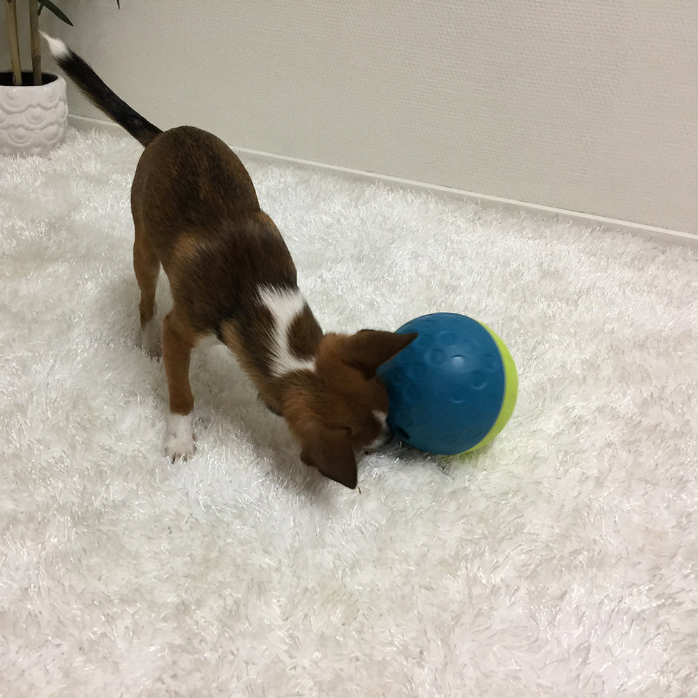 Nina Ottosson Treat Tumble Interactive Treat Dog Puzzle Toy Blue/Green Small Level 1