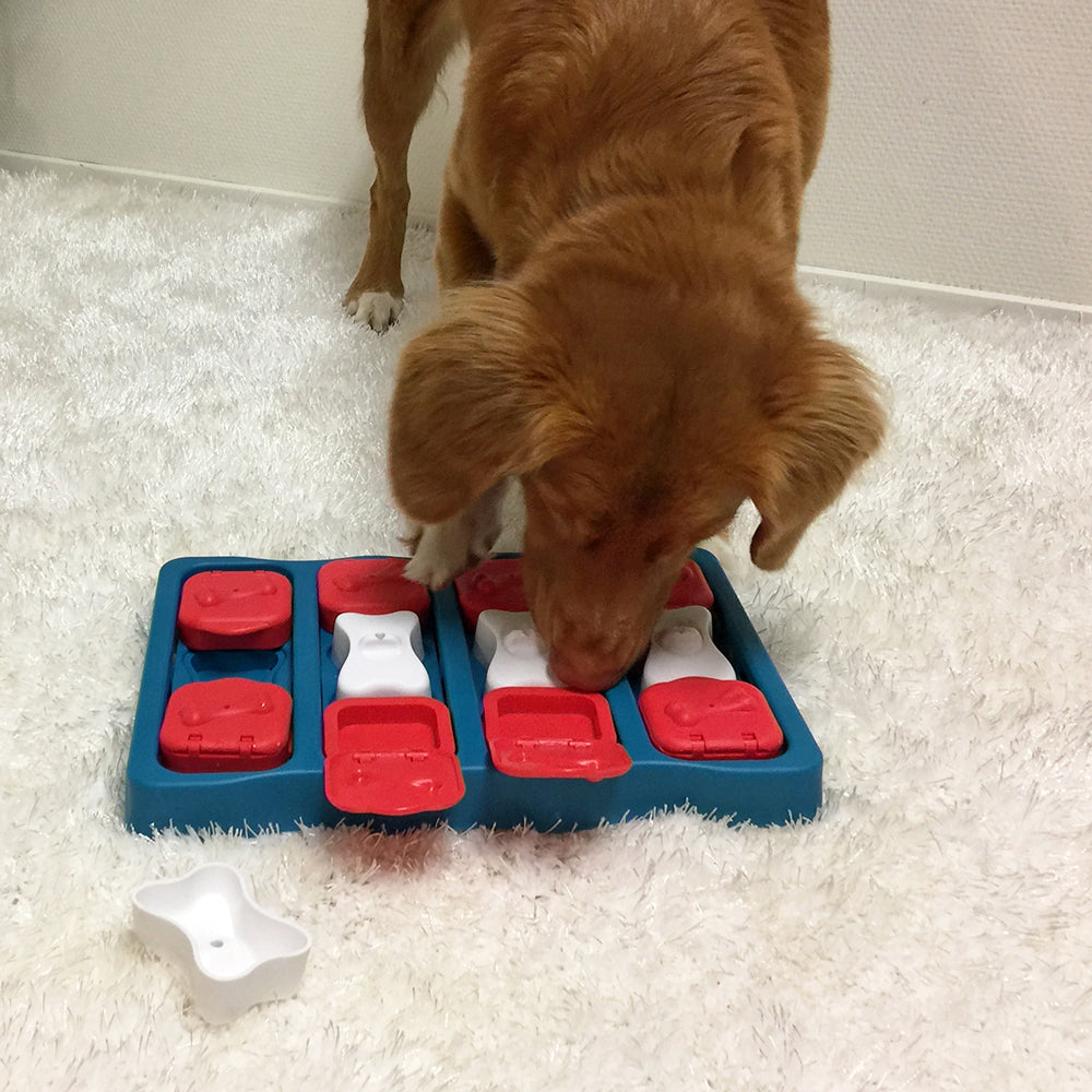 Nina Ottosson Dog Brick Interactive Treat Dog Puzzle Toy Blue Level 2