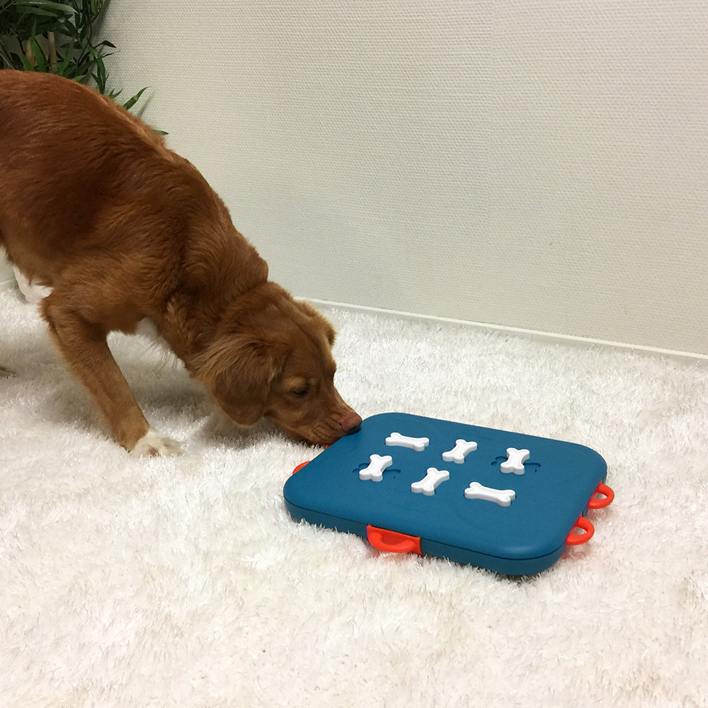 Nina Ottosson Dog Casino Interactive Treat Dog Puzzle Toy Turquoise Level 3