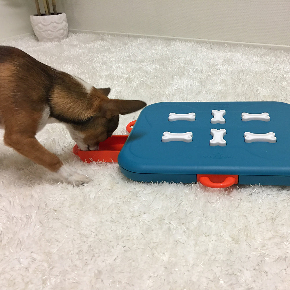 Nina Ottosson Dog Casino Interactive Treat Dog Puzzle Toy Turquoise Level 3