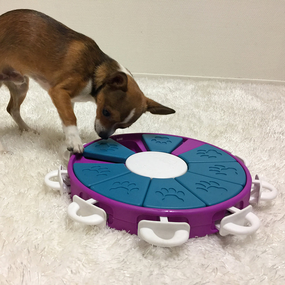 Nina Ottosson Dog Twister Interactive Treat Dog Puzzle Toy Purple Level 3