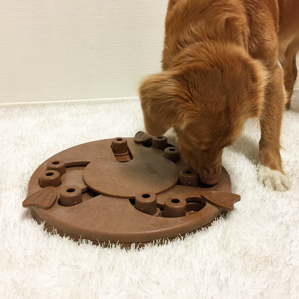 Nina Ottosson Dog Worker Interactive Treat Dog Puzzle Toy Composite Level 3