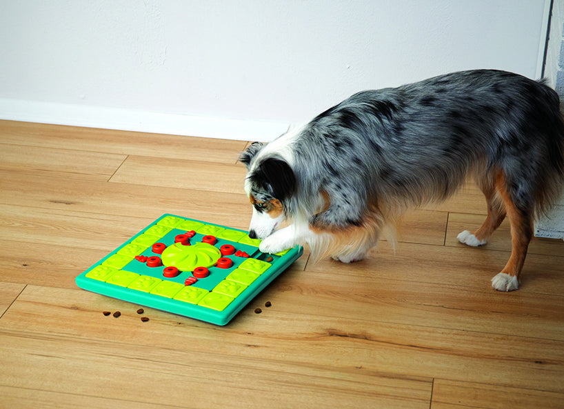 Nina Ottosson MultiPuzzle Interactive Treat Dog Puzzle Toy Blue Level 4