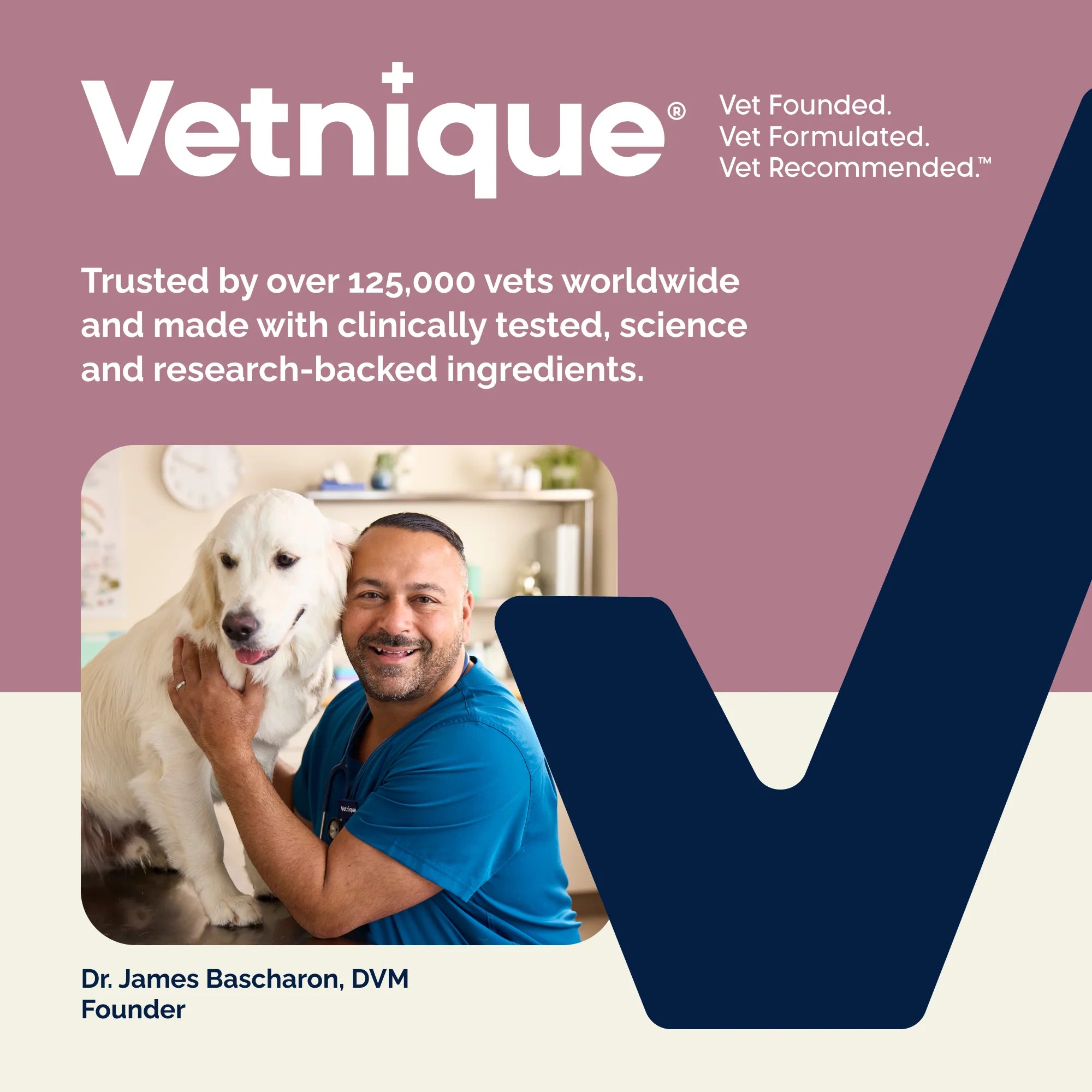 Oticbliss™ Advanced Vet Strength Medicated Anti-Bacterial & Anti-Fungal Ear Flush, 12 fl oz