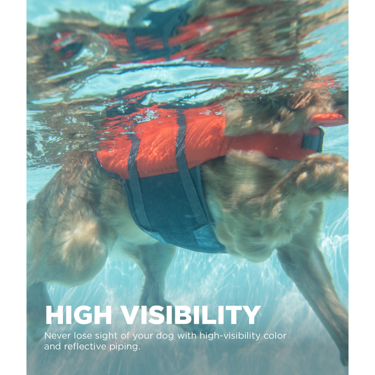 Outward Hound Granby Splash Dog Life Jacket Orange Medium