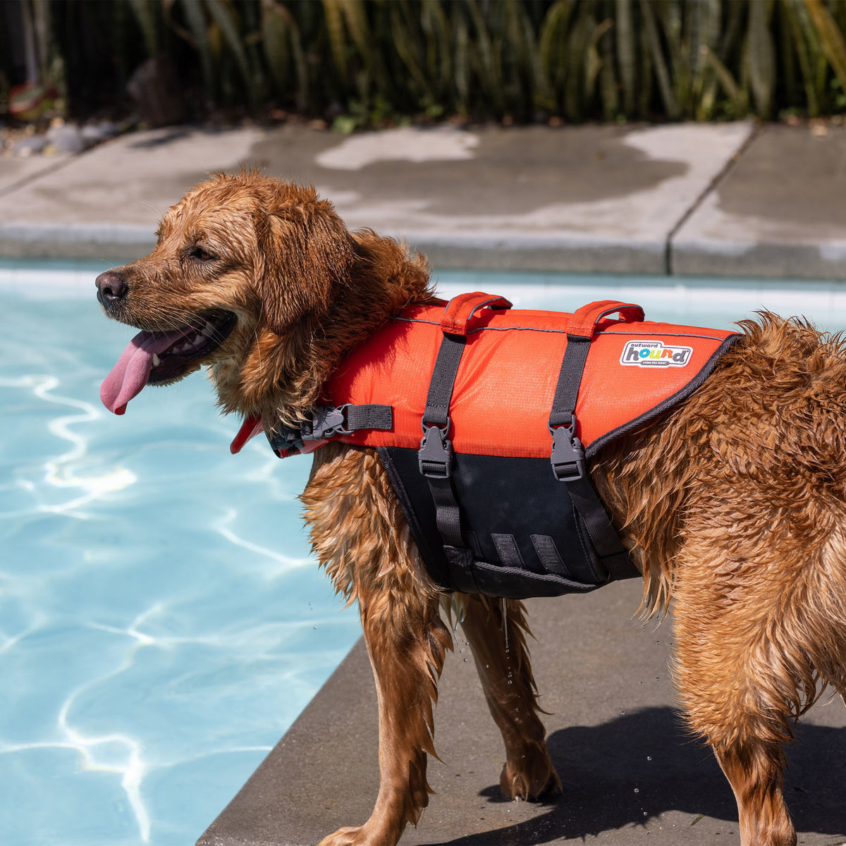 Outward Hound Granby Splash Dog Life Jacket Orange Medium