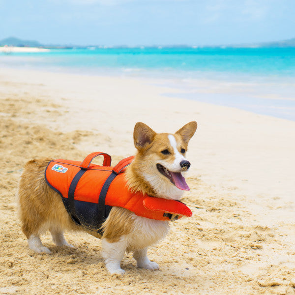 Outward Hound Granby Splash Dog Life Jacket Orange Medium