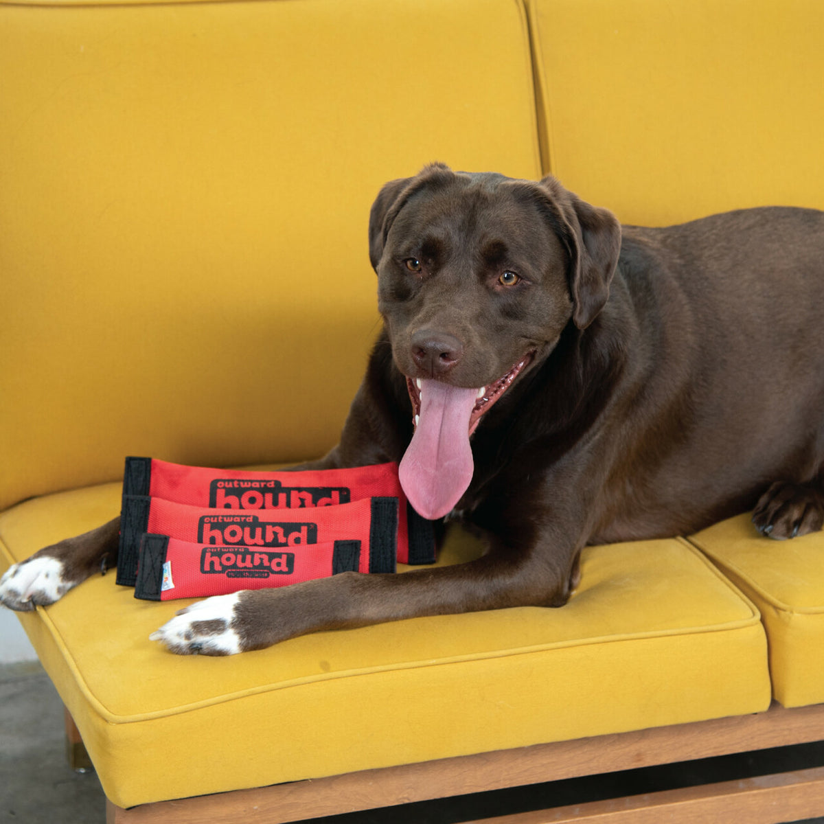 Outward Hound Fire Hose Fetch Durable Fire Hose Dog Toy Red Large