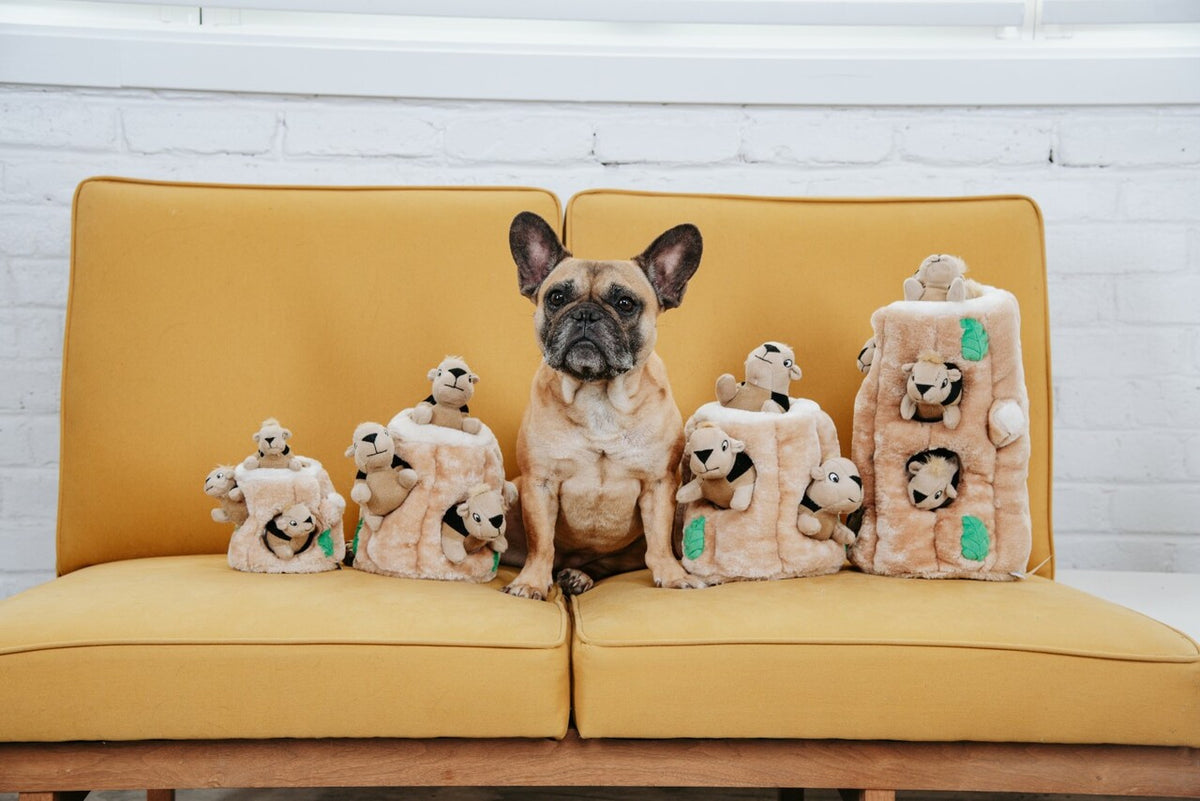 Outward Hound Hide A Squirrel Plush Dog Puzzle Toy Brown Small