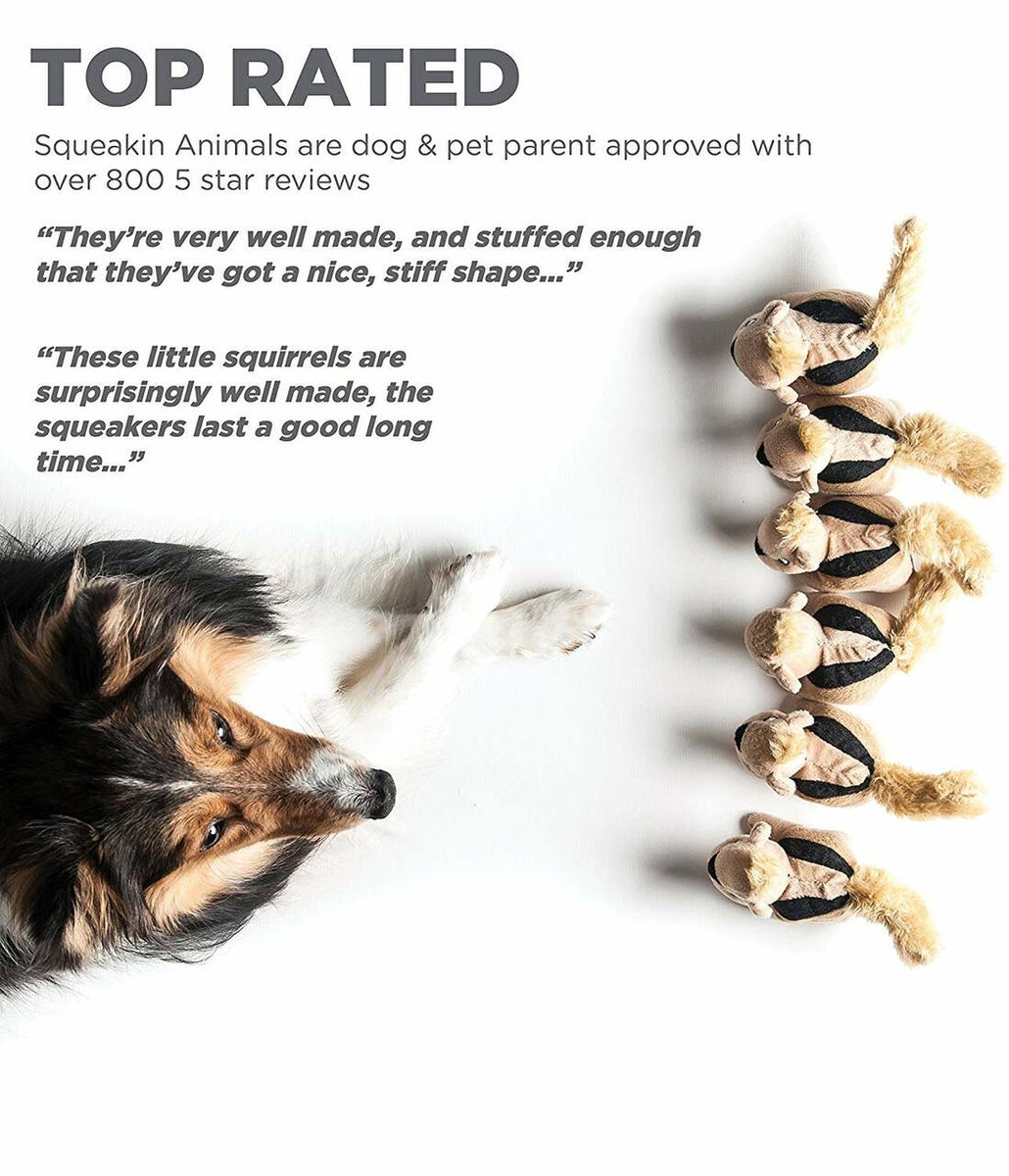 Outward Hound Squeakin' Squirrels Plush Dog Toy Brown 3pc