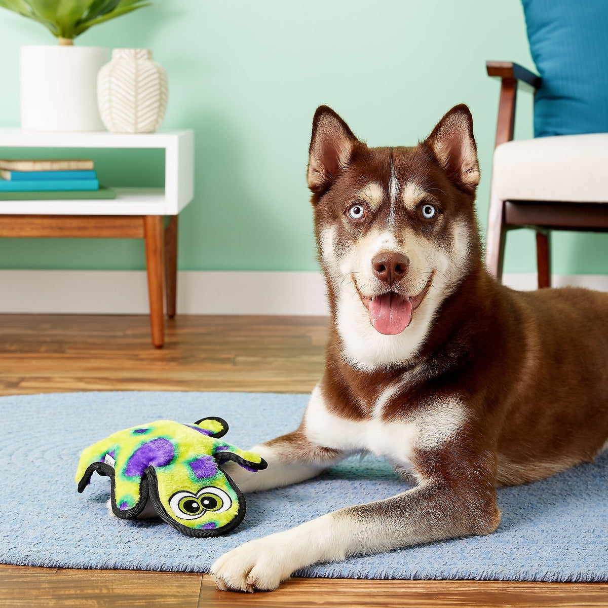 Outward Hound Invincibles Gecko Durable Plush Dog Toy Green Medium