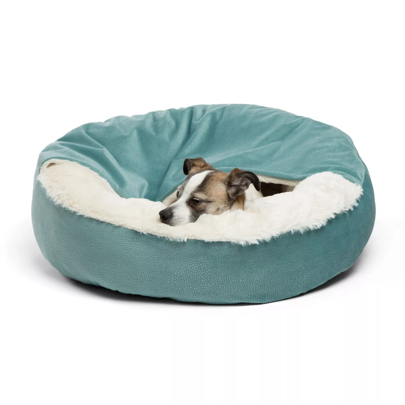 Best Friends by Sheri Cozy Cuddler Ilan Cat & Dog Bed Tide Pool 24x24