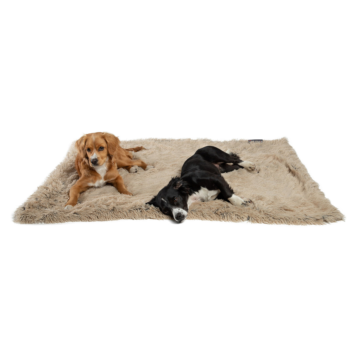 Best Friends by Sheri Blanket Shag Taupe 40x50
