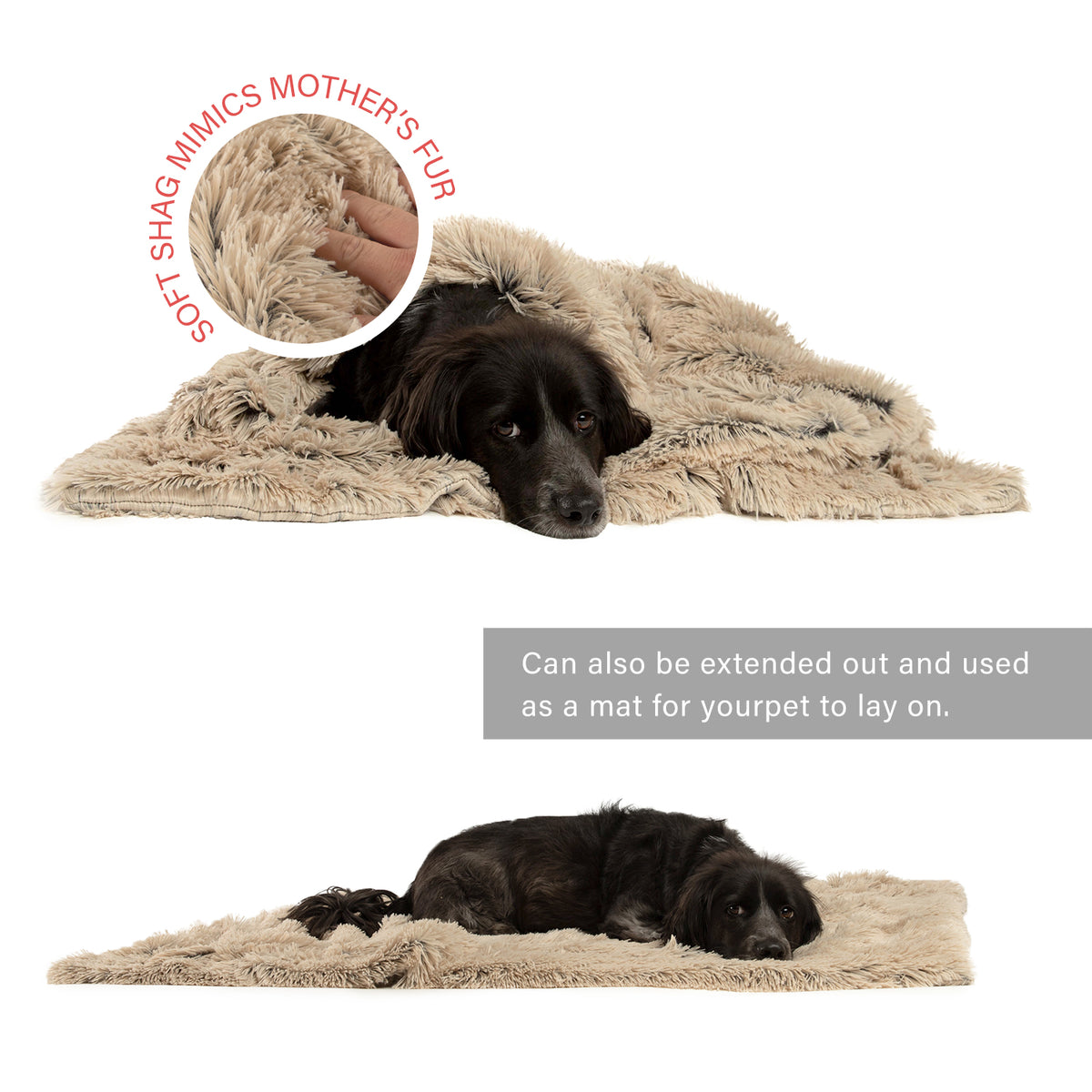 Best Friends by Sheri Blanket Shag Taupe 40x50