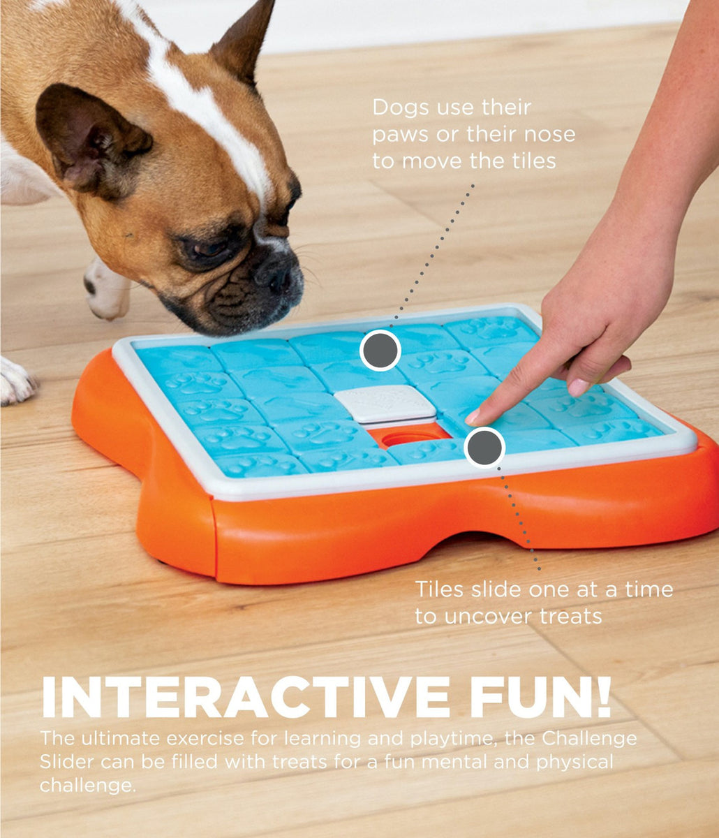 Nina Ottosson Challenge Slider Interactive Treat Dog Puzzle Toy Blue/Orange Level 3