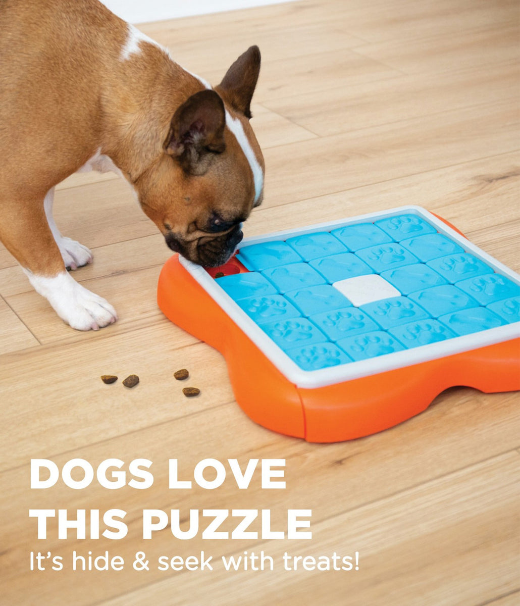 Nina Ottosson Challenge Slider Interactive Treat Dog Puzzle Toy Blue/Orange Level 3