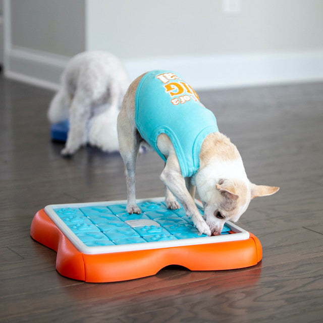 Nina Ottosson Challenge Slider Interactive Treat Dog Puzzle Toy Blue/Orange Level 3