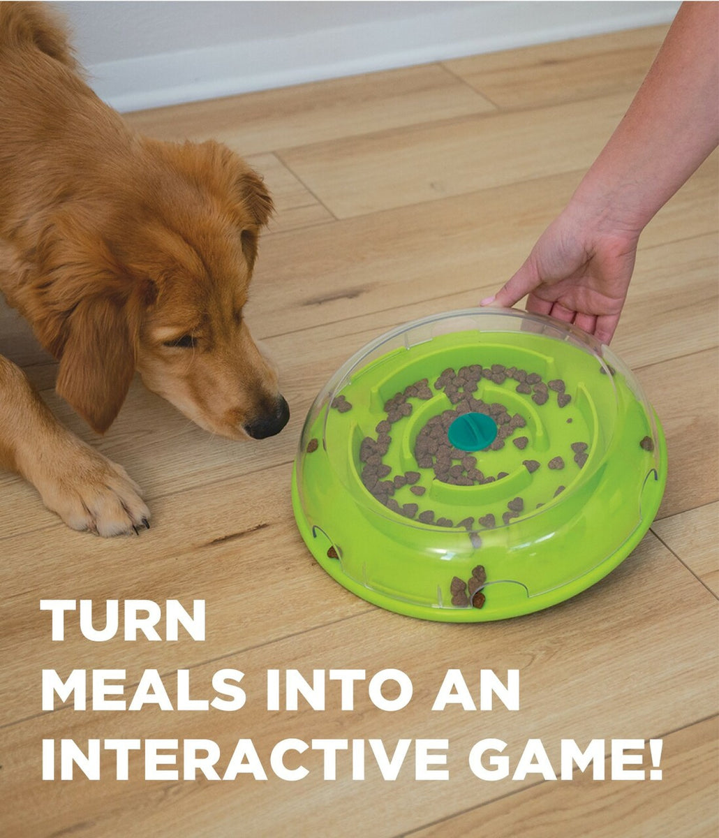 Nina Ottosson Wobble Slow Feeder Bowl Dog Game Blue/Green Level 1