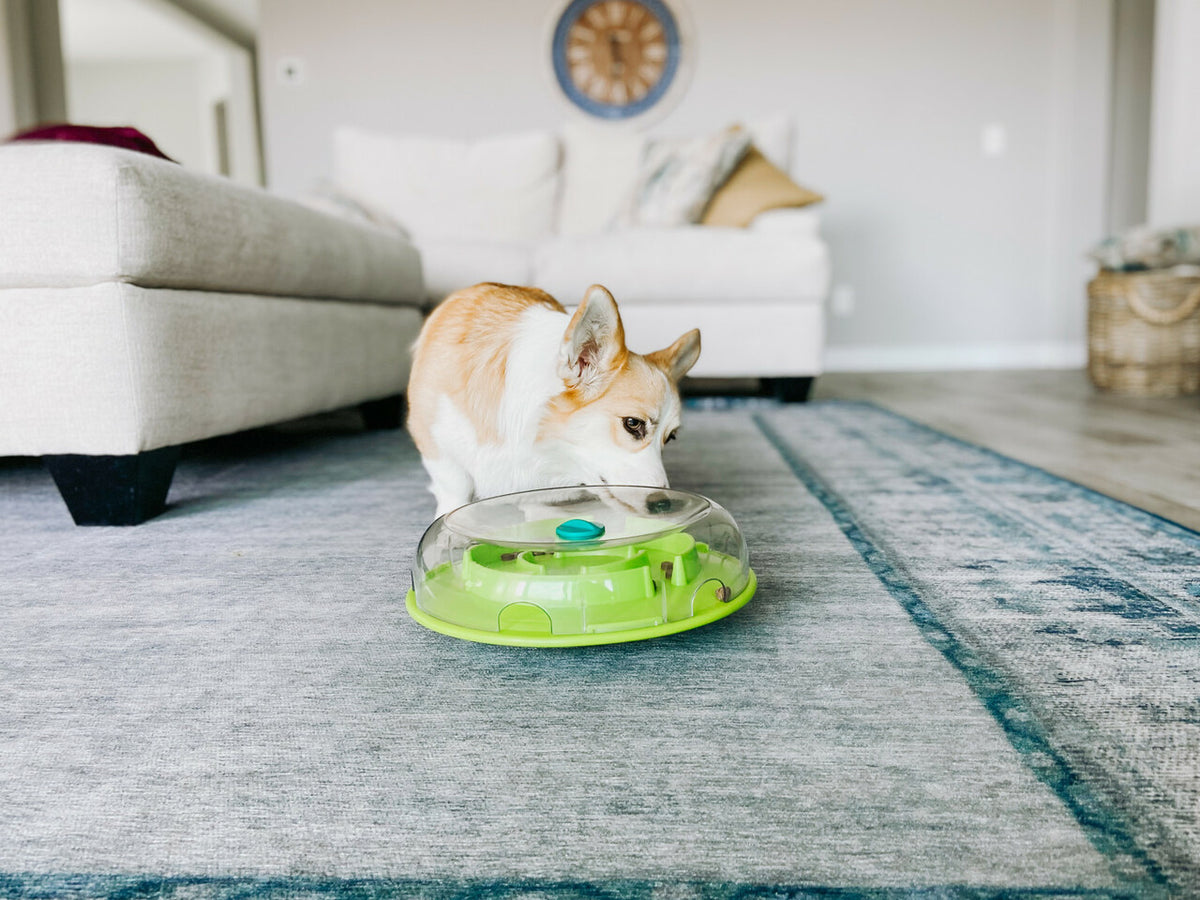 Nina Ottosson Wobble Slow Feeder Bowl Dog Game Blue/Green Level 1