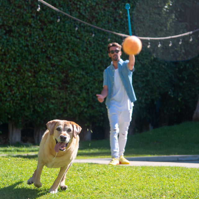 Outward Hound Launch A Ball Dog Ball Launcher Turquoise