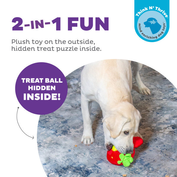 Nina Ottosson Fruity Findz Strawberry TNT Interactive Plush Dog Puzzle Toy Red