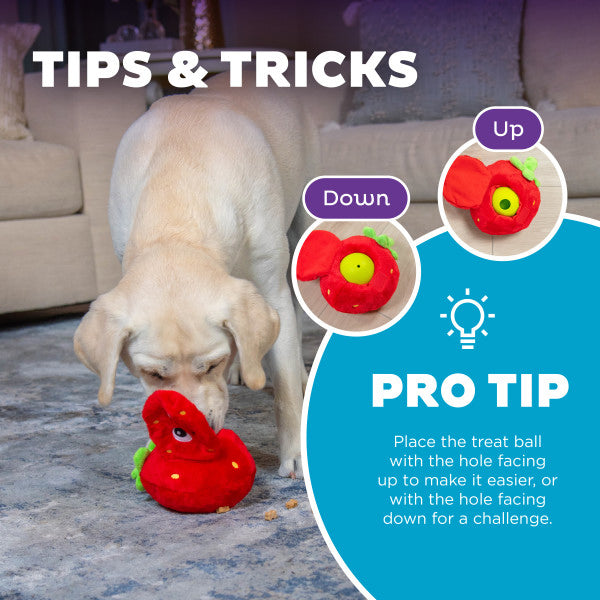 Nina Ottosson Fruity Findz Strawberry TNT Interactive Plush Dog Puzzle Toy Red