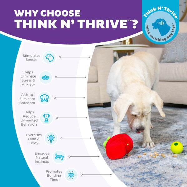 Nina Ottosson Fruity Findz Strawberry TNT Interactive Plush Dog Puzzle Toy Red