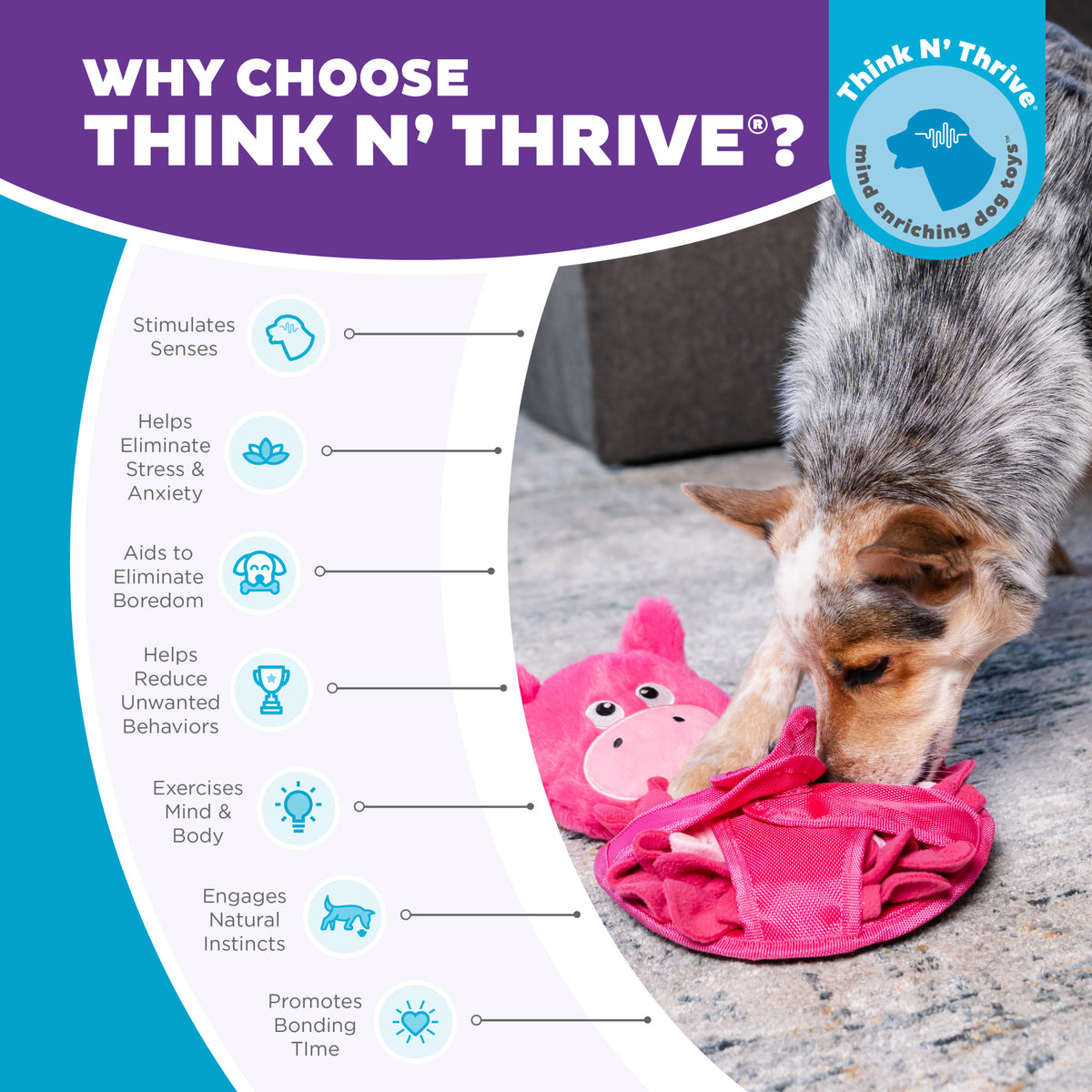 Nina Ottosson Snuffle Palz Pig TNT Pink Large