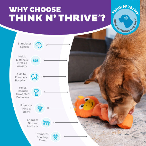 Nina Ottosson Twistiez Dragon TNT Interactive Plush Dog Toy Orange Large