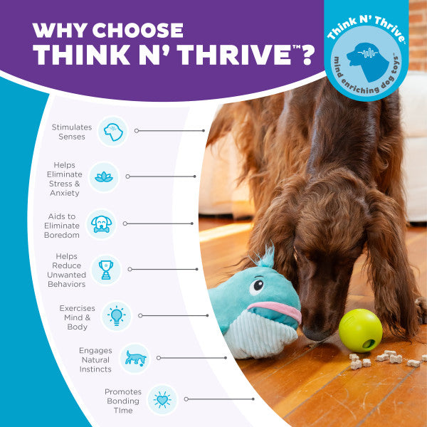 Nina Ottosson Big Mouthz Whale Interactive Plush Dog Puzzle Toy Blue