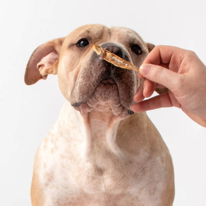 Polkadog Silverside Whole Fish Dog and Cat Treats 2.5oz