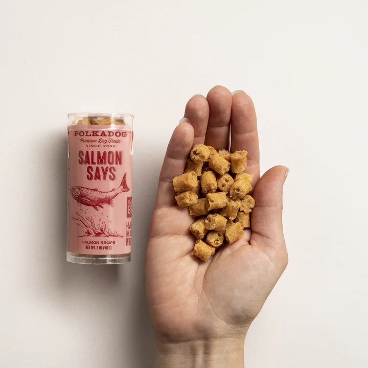 Polkadog Salmon Says Training Bits Crunchy Dog and Cat Treats Mini Tube 2oz