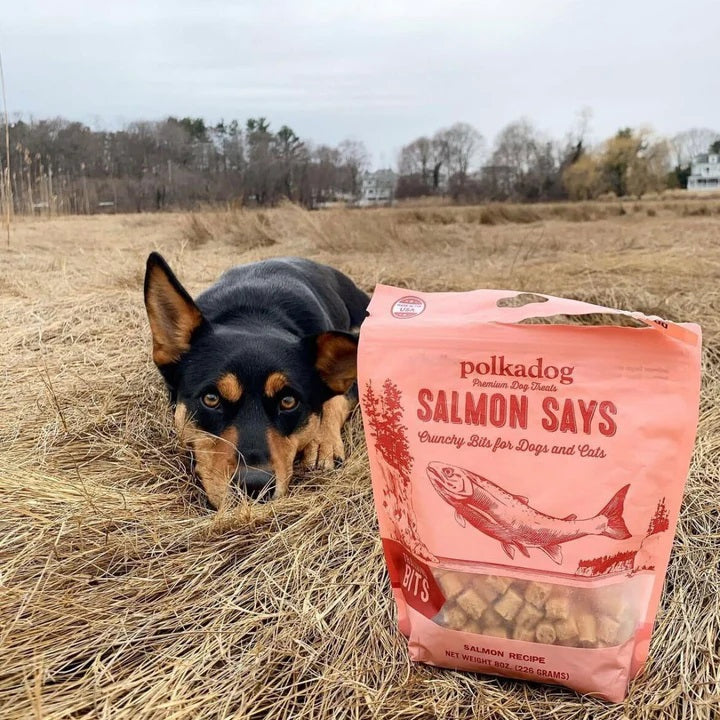 Polkadog Salmon Says Training Bits Crunchy Dog and Cat Treats 7oz