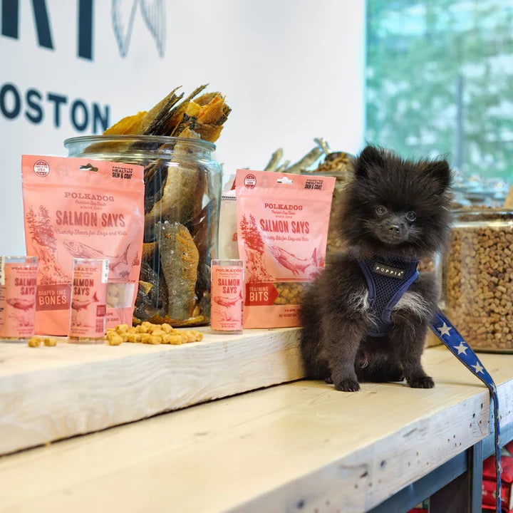 Polkadog Salmon Says Training Bits Crunchy Dog and Cat Treats 7oz