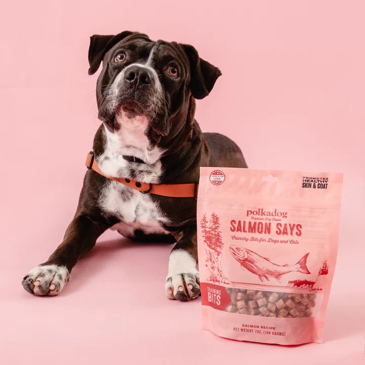 Polkadog Salmon Says Training Bits Crunchy Dog and Cat Treats 7oz
