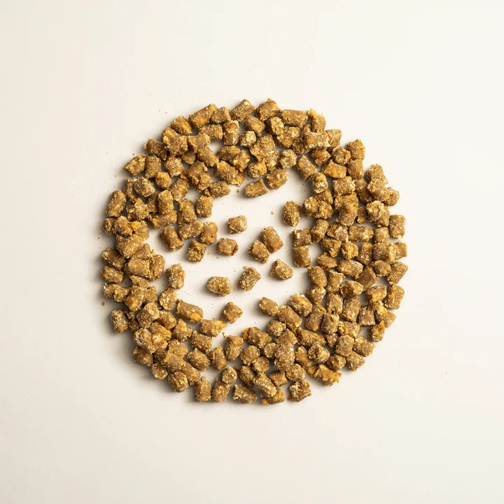 Polkadog Wonder Nuggets Training Bits Sweet Potato & Beef Liver Soft & Chewy Dog Treats 10oz