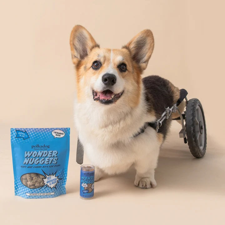 Polkadog Wonder Nuggets White Fish & Kelp Mini Tube 2.5oz