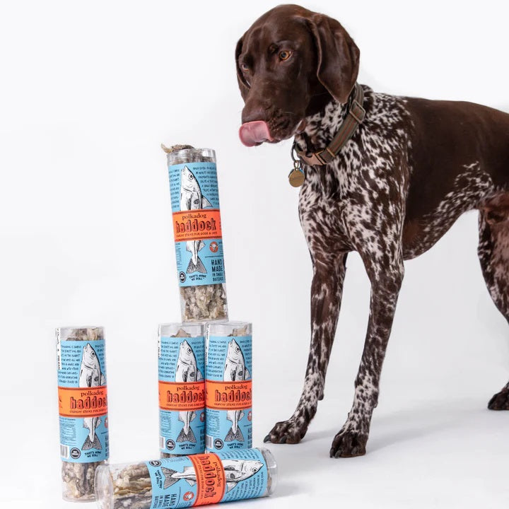 Polkadog Haddock Crunchy Dog and Cat Treats Tube 2oz Case of 6