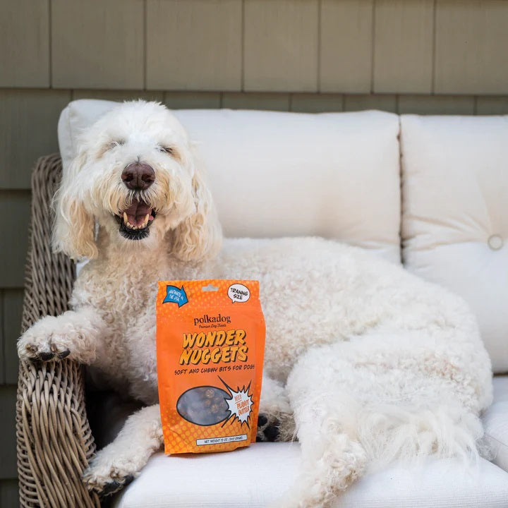 Polkadog Wonder Nuggets Training Bits Peanut Butter Soft & Chewy Dog Treats 10oz