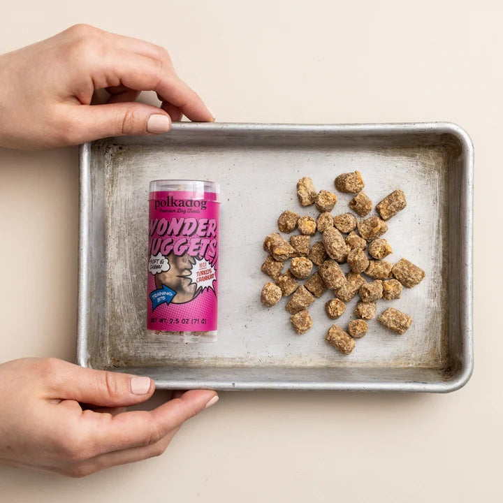 Polkadog Wonder Nuggets Training Bits Turkey & Cranberry Soft & Chewy Dog and Cat Treats Mini Tube 2.5oz
